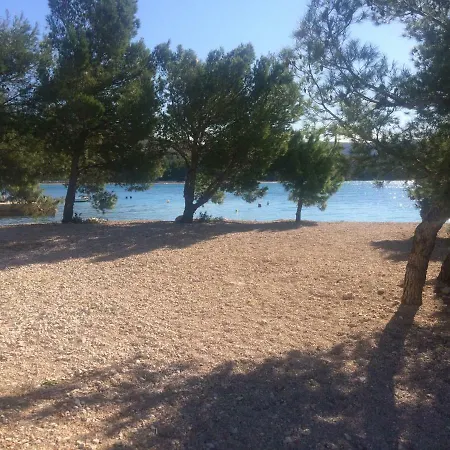 Maslina Daire Zaboric