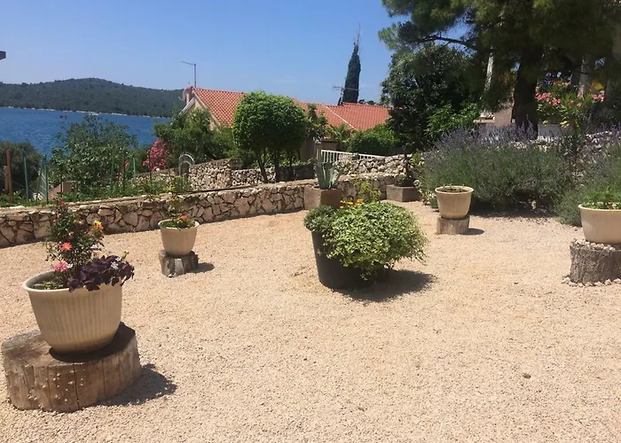 Maslina Διαμέρισμα *